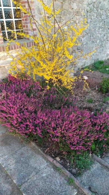 Photo of Outdoor in Mailhac-sur-Benaize