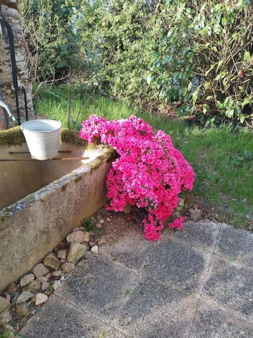 Photo of Others in Mailhac-sur-Benaize