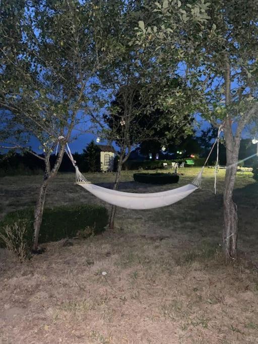 Photo of Outdoor in Mailhac-sur-Benaize