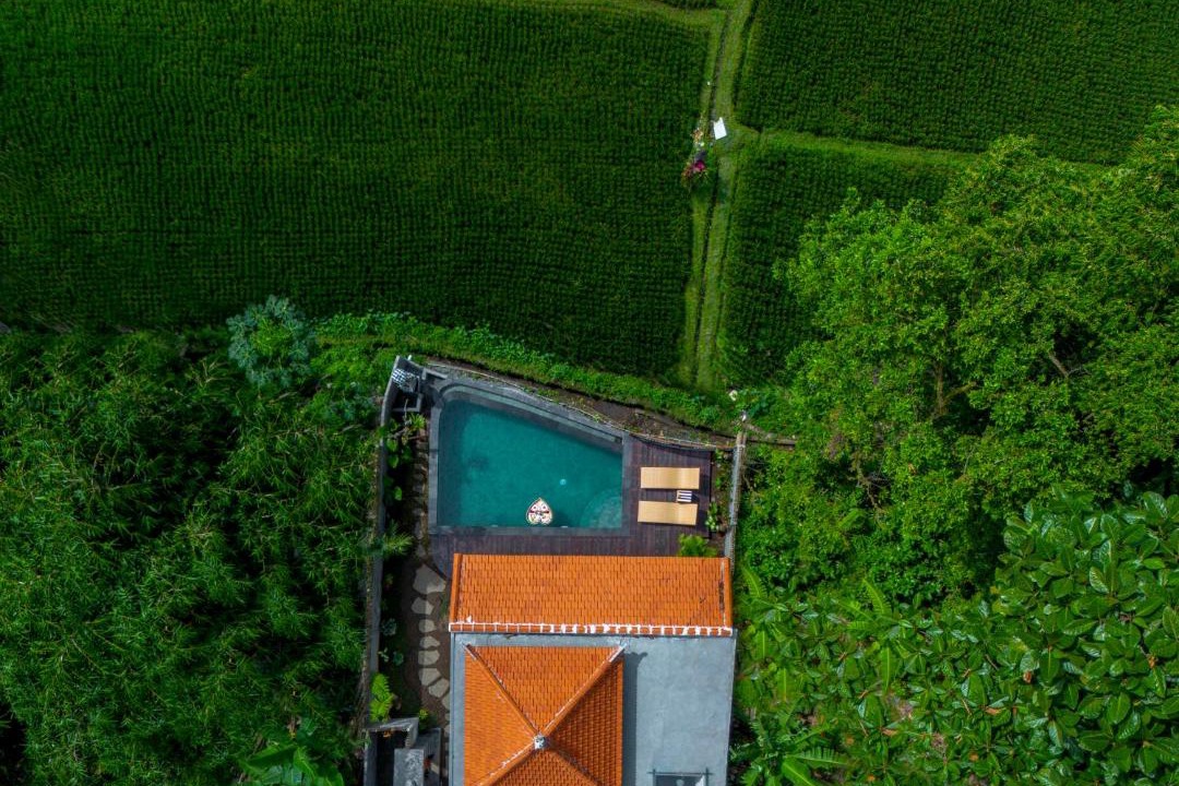 Photo of Others in Melayang