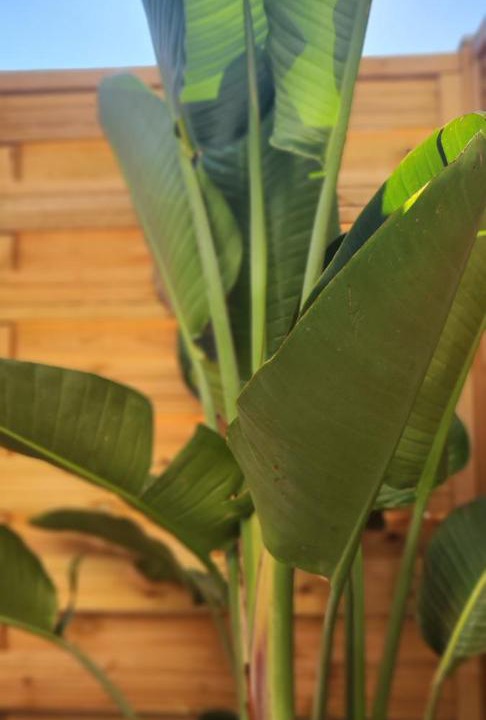 Photo of Others in Bourg-Saint-Christophe