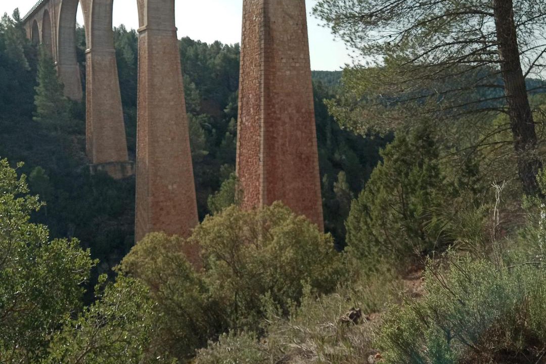 Photo of Others in Villora