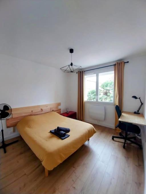 Photo of Bedroom in Tarbes