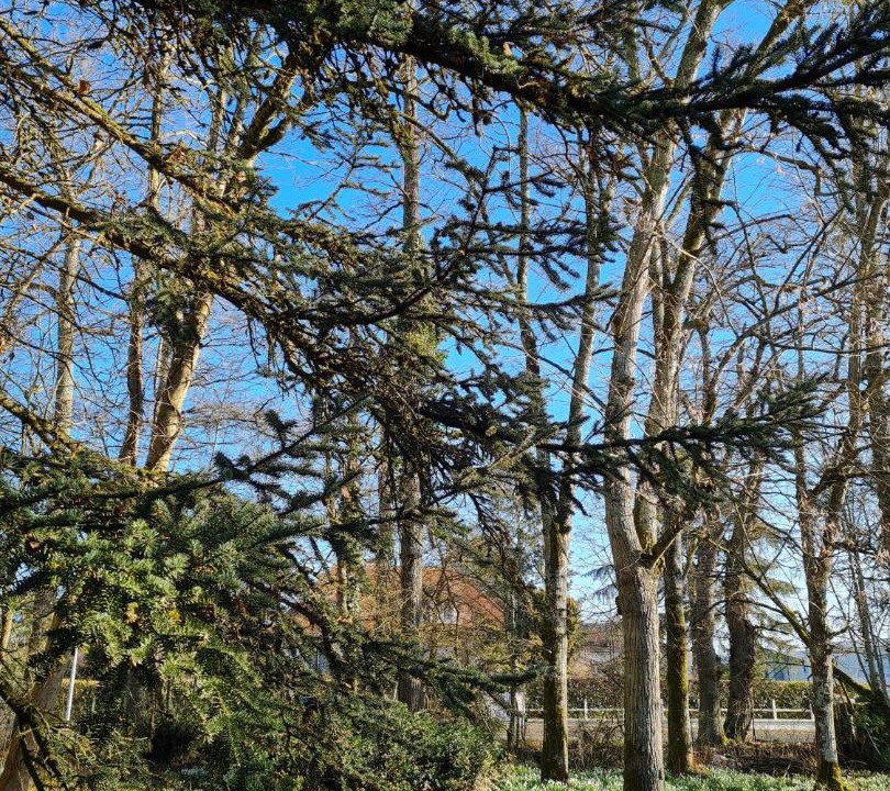 Photo of Others in Blois