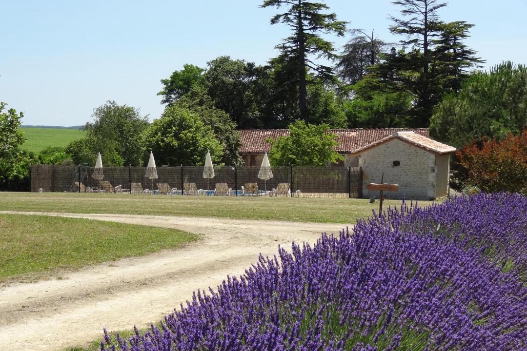 Photo of Others in Gout-Rossignol