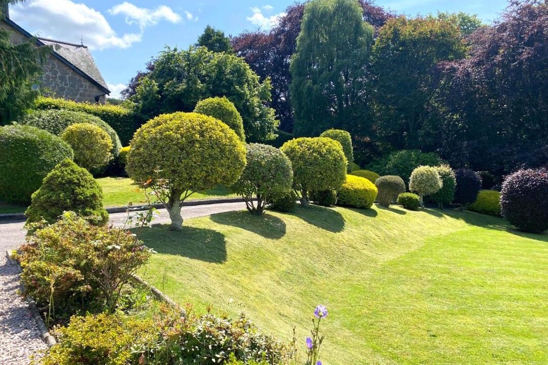 Photo of Others in Fochabers