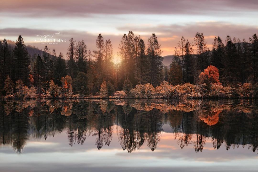 Photo of Others in Lewiston