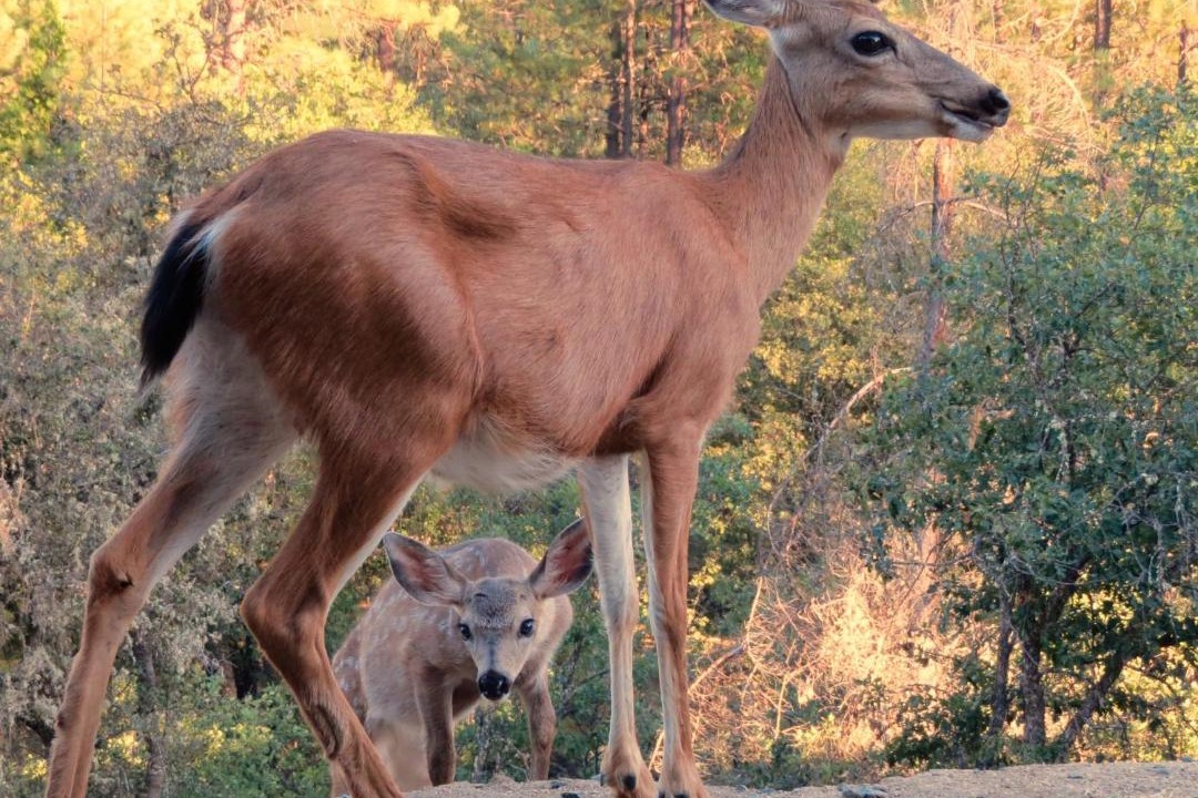 Photo of Others in Lewiston