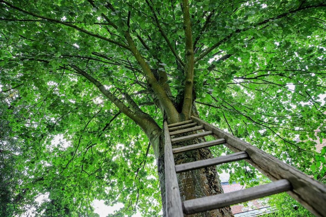 Photo of Others in Forges-les-Eaux