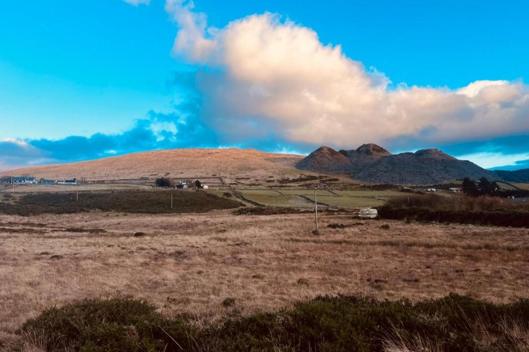 Photo of Others in Dinas