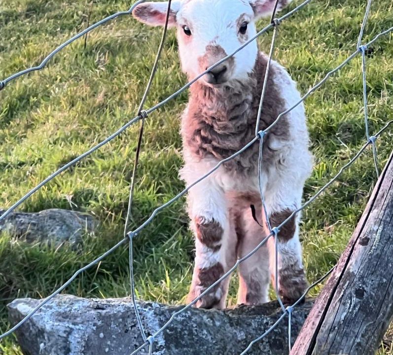 Photo of Others in Dinas