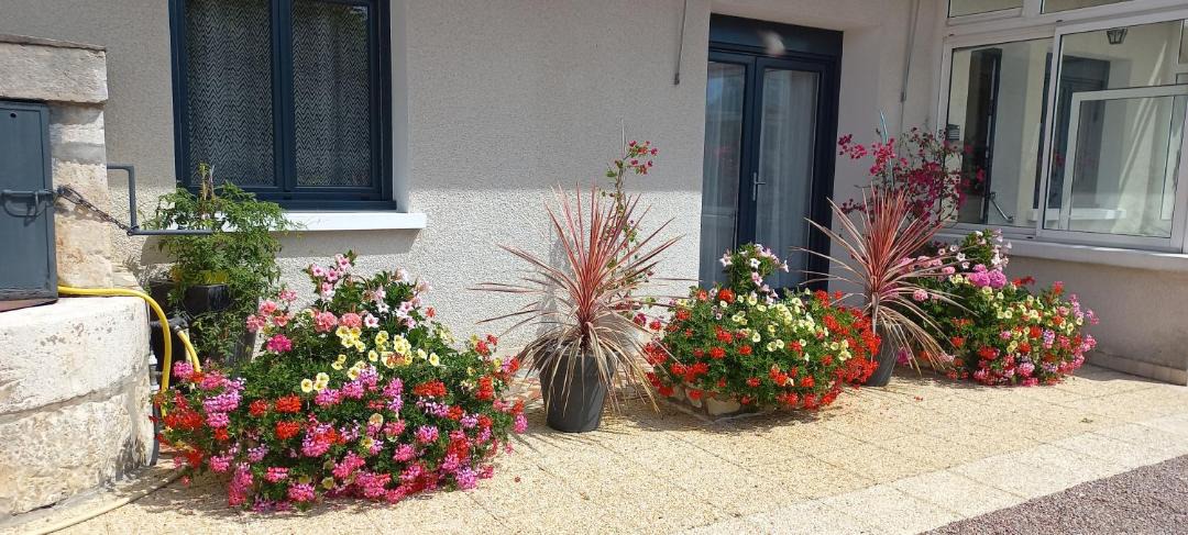 Photo of Buildings in Boulleret