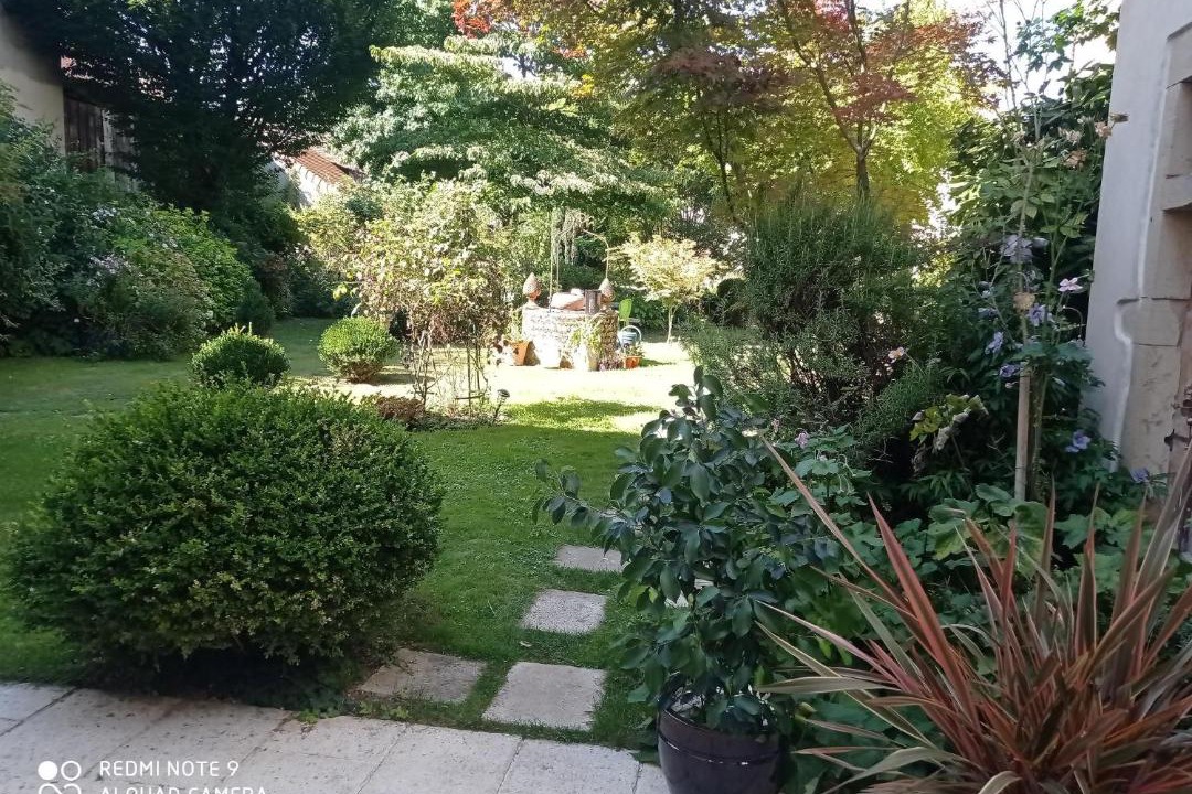 Photo of Others in Saint-Jean-de-Losne