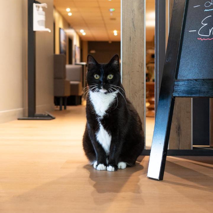 Photo of Others in La Teste-de-Buch