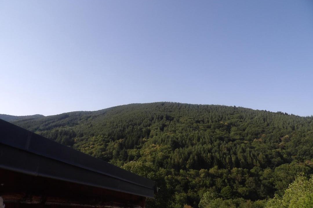 Photo of Others in Dourbies