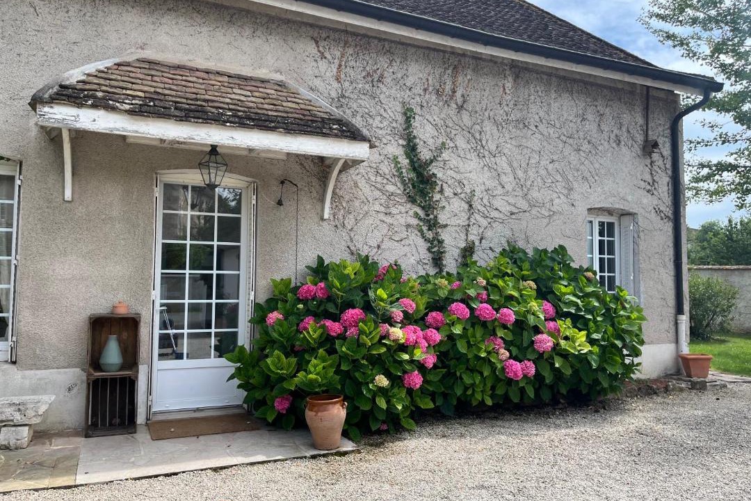 Photo of Others in Alleriot