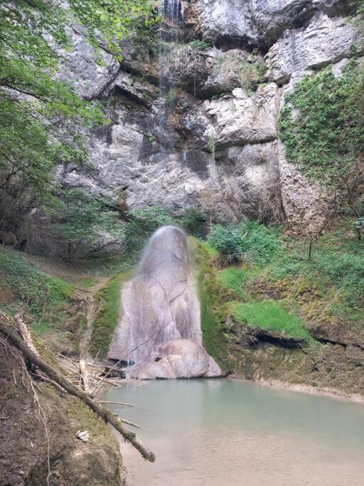 Photo of Others in Coligny