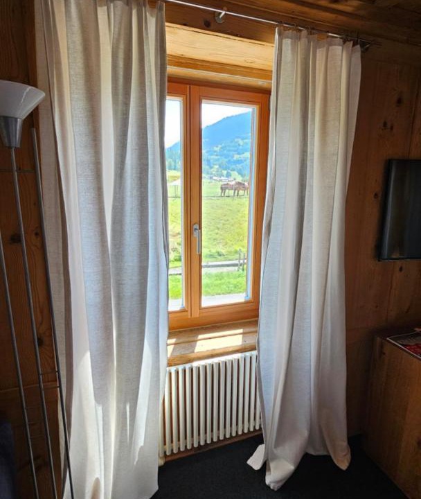 Photo of Others in Castrisch