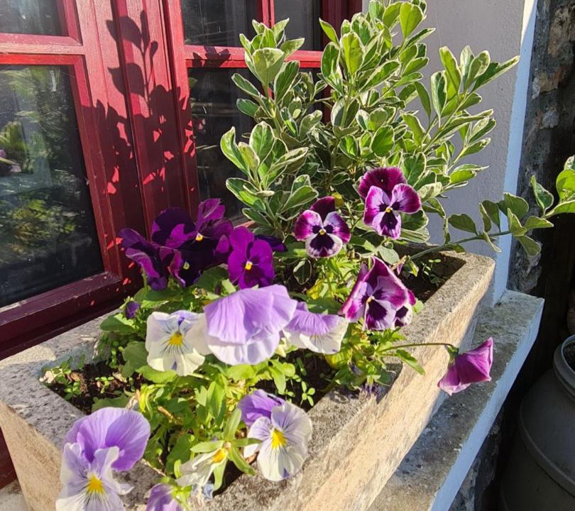 Photo of Others in Chaufour-les-Bonnieres