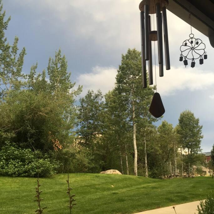 Photo of Others in Steamboat Springs
