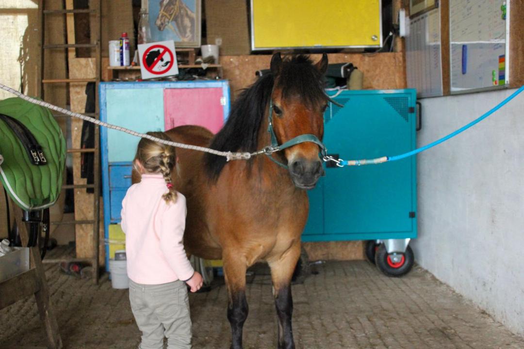 Photo of Human In Picture in Saint-Germain-d'Aunay