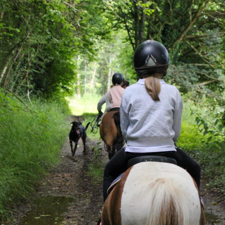 Photo of Others in Saint-Germain-d'Aunay