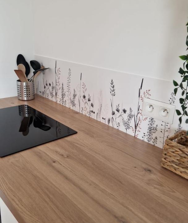 Photo of Kitchen in Soindres