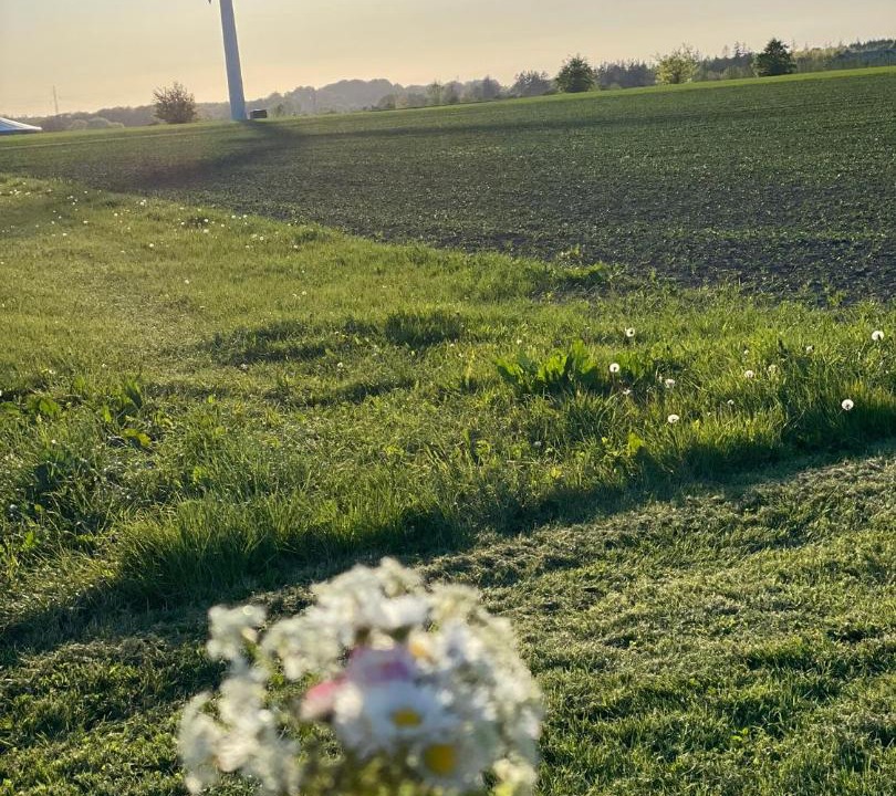 Photo of Outdoor in Aabenraa