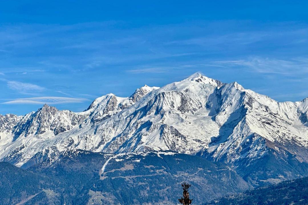 Photo of Others in Cordon