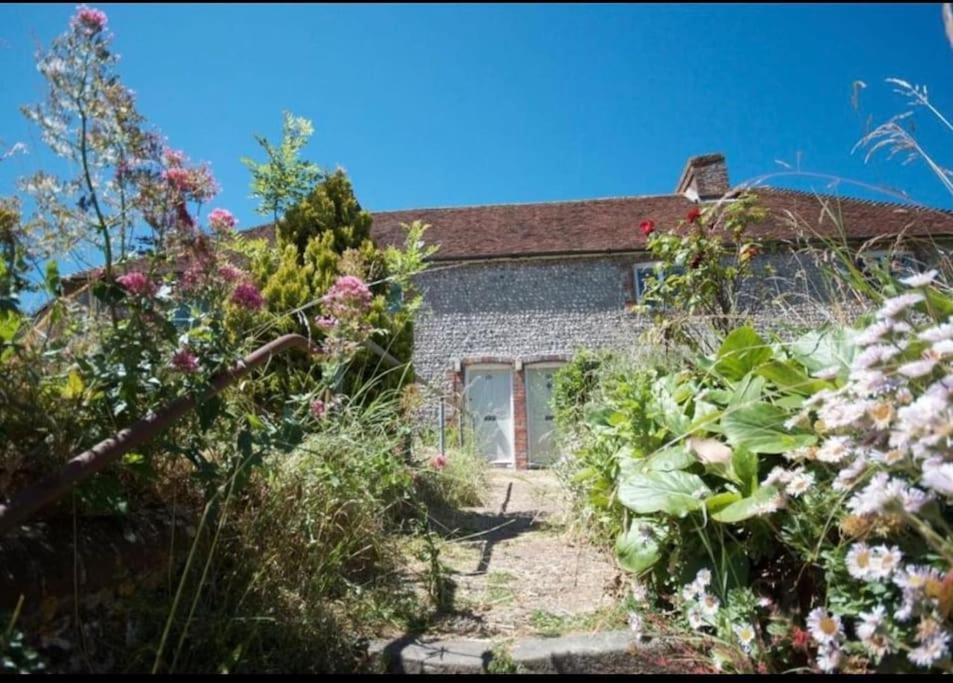 Photo of Others in Eastbourne