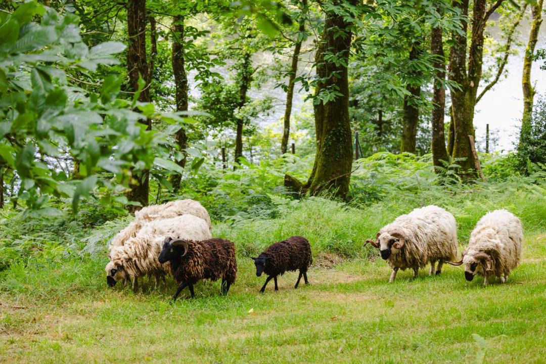 Photo of Others in Saint-Nicolas des Eaux