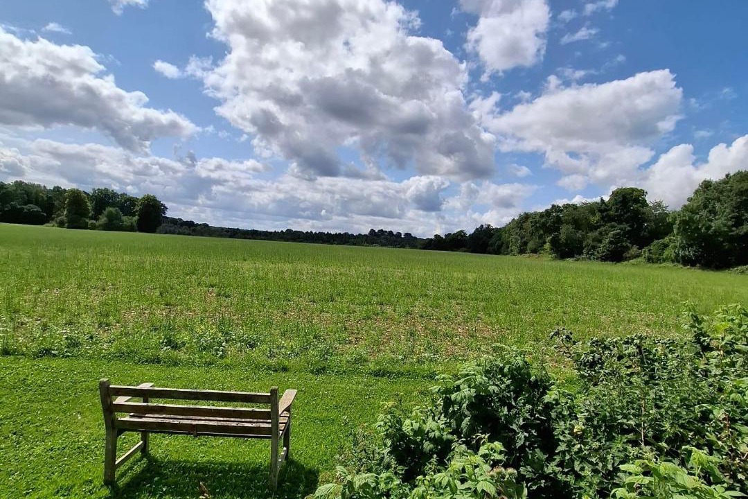 Photo of Others in Woolhamton