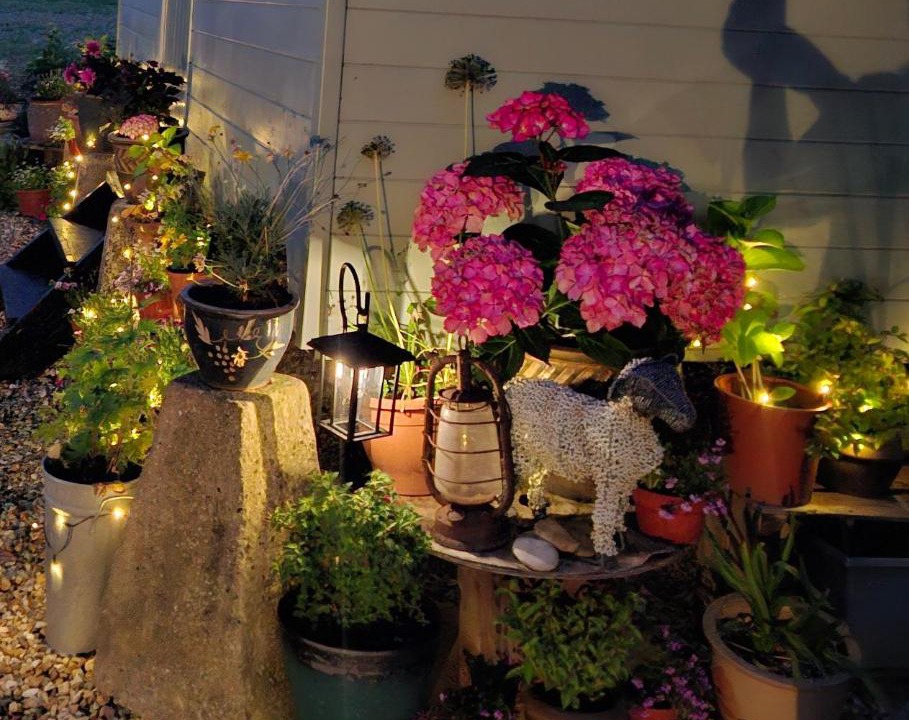 Photo of Others in Woolhamton