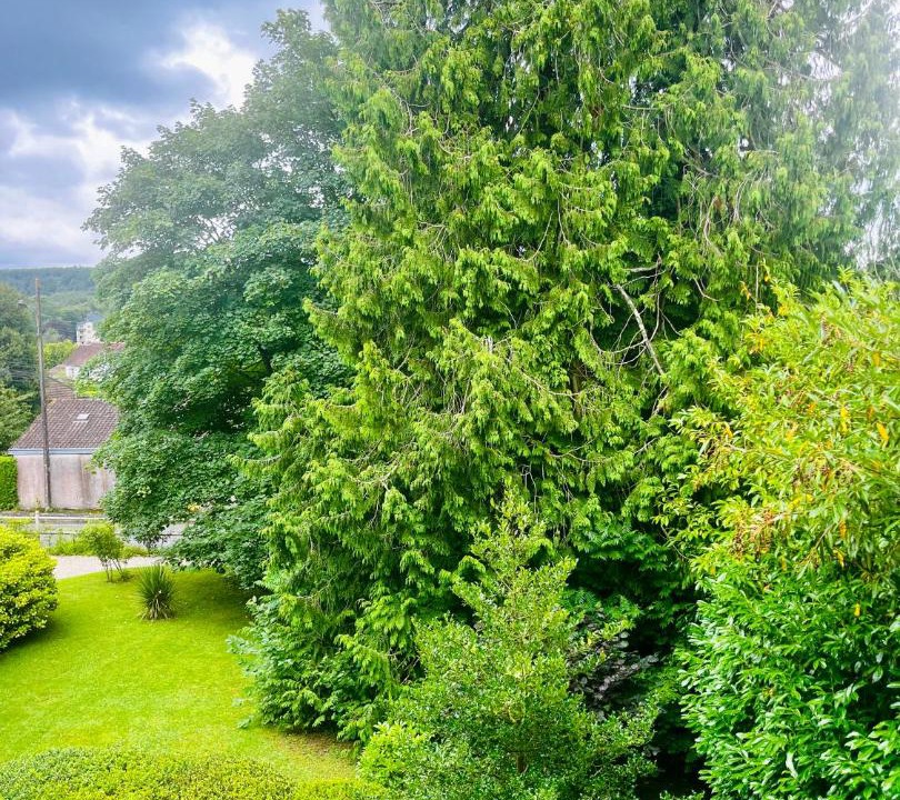 Photo of Outdoor in Bagnoles-de-l'Orne