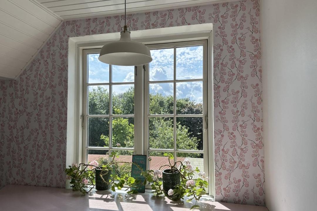 Photo of Others in Faxe