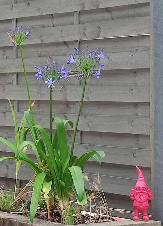 Photo of Others in Plouer-sur-Rance