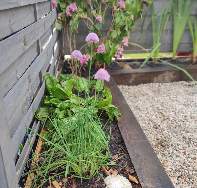 Photo of Others in Plouer-sur-Rance