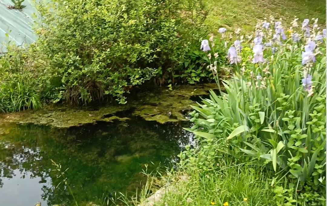 Photo of Others in Puybegon