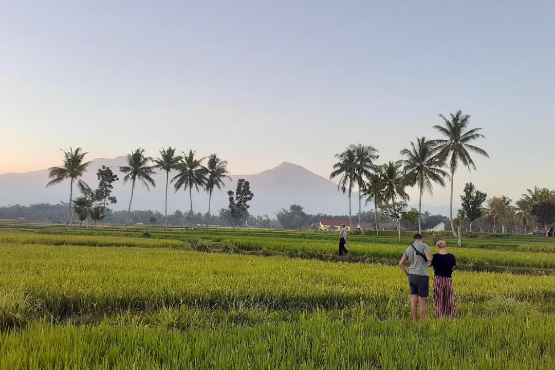 Photo of Others in Kecamatan Sikur