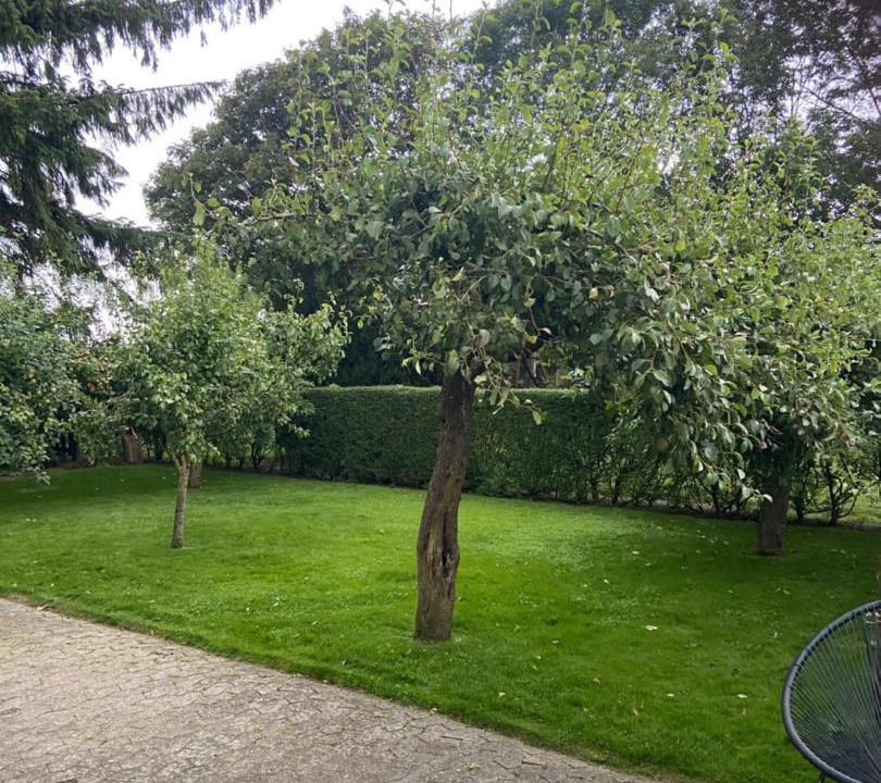 Photo of Others in Tonder