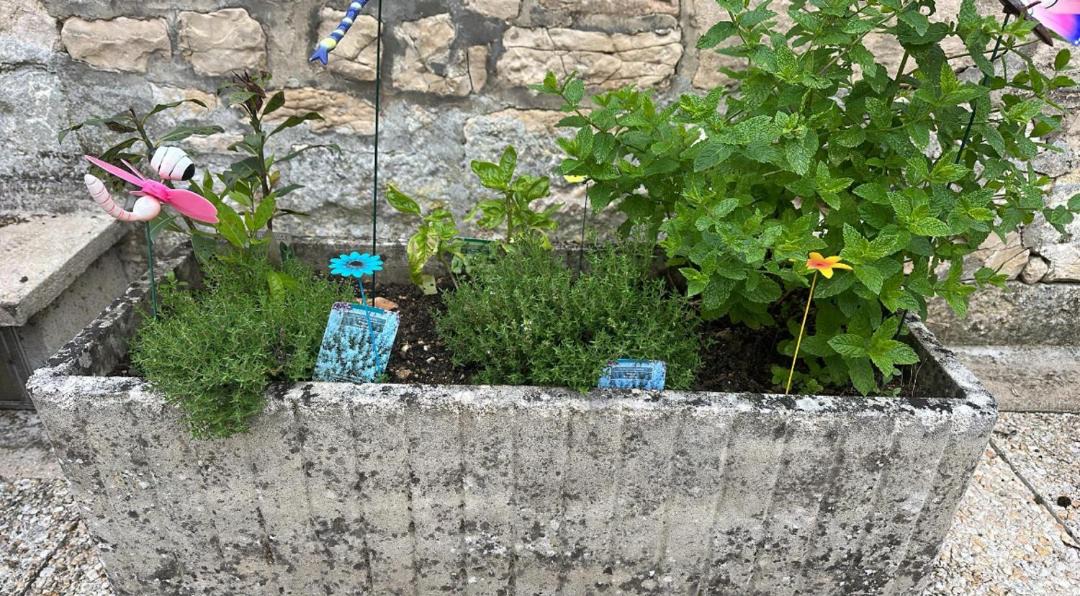 Photo of Others in Tonnerre