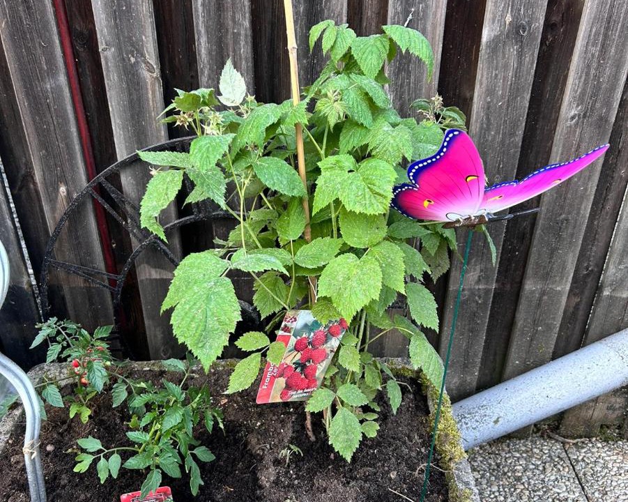 Photo of Others in Tonnerre