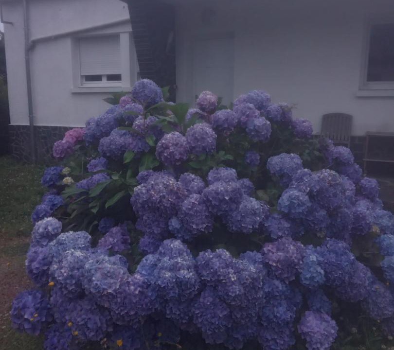 Photo of Outdoor in Renaze