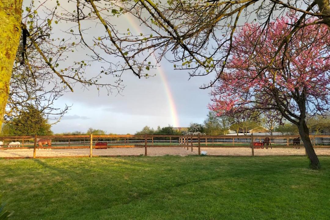 Photo of Others in Vihiers