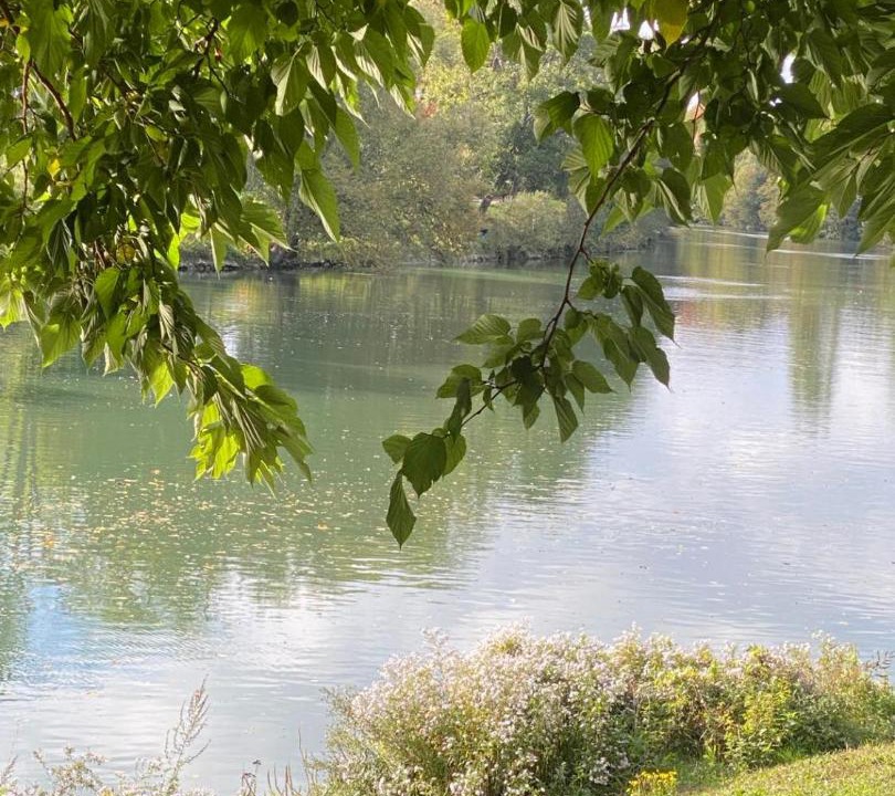 Photo of Others in Chennevieres-sur-Marne