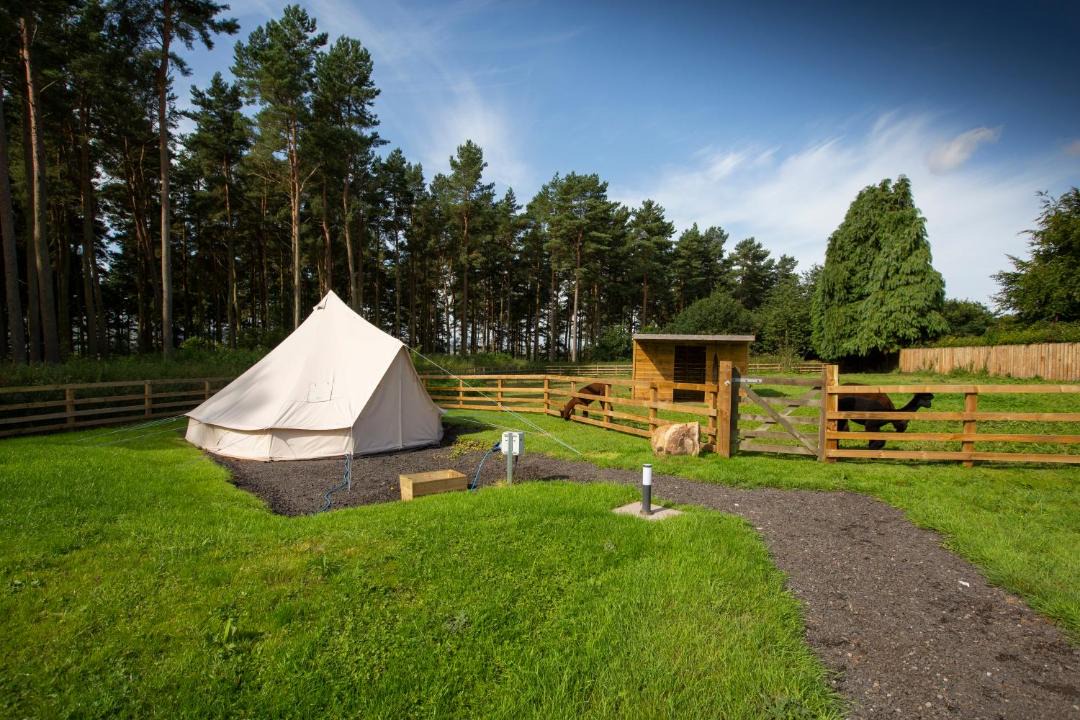 Photo of Others in Ford