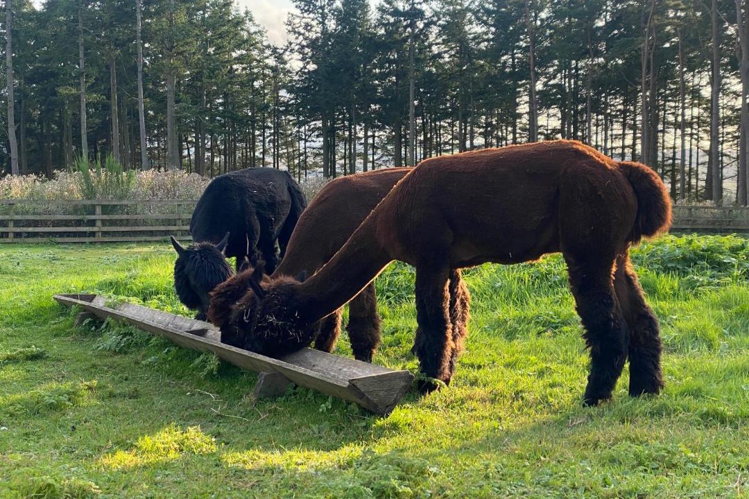 Photo of Others in Ford