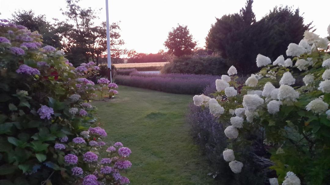 Photo of Outdoor in Bogense