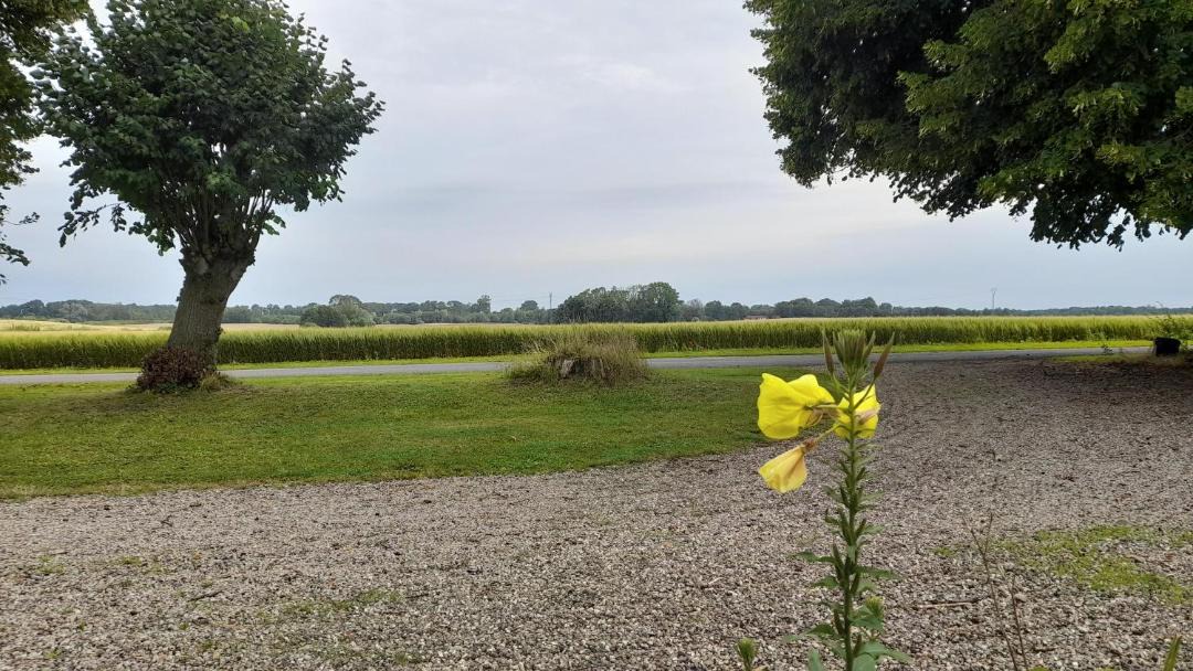 Photo of Others in Bogense