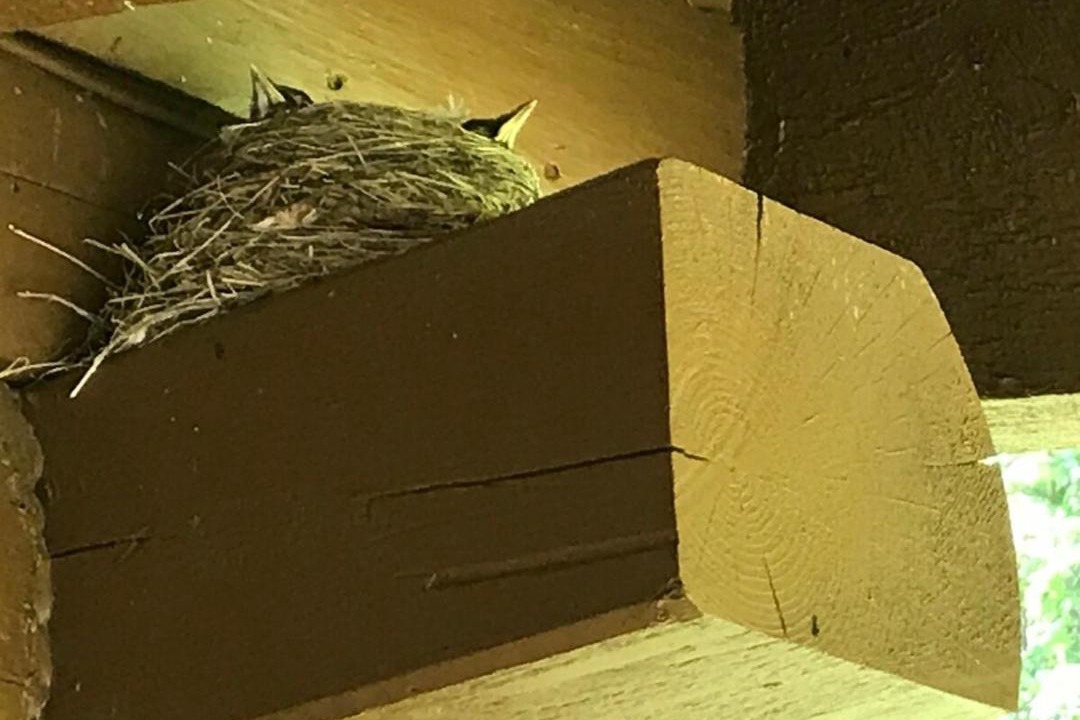 Photo of Others in Town of Colchester